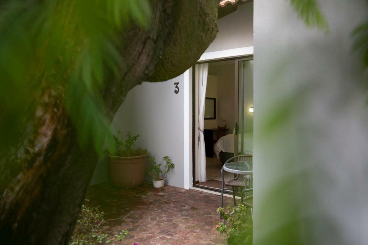 Angelica Guest House Boksburg Εξωτερικό φωτογραφία